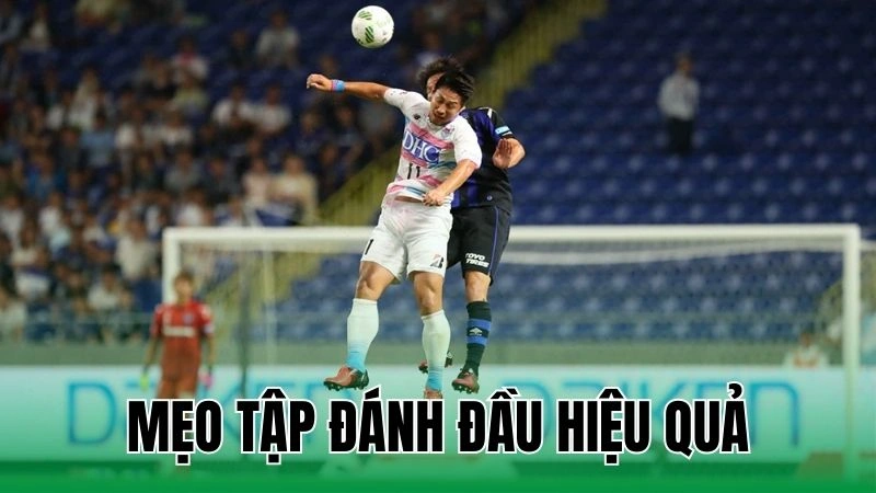 meo tap danh dau hieu qua