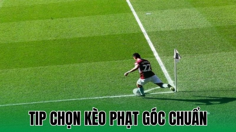 tip chon keo phat goc chuan